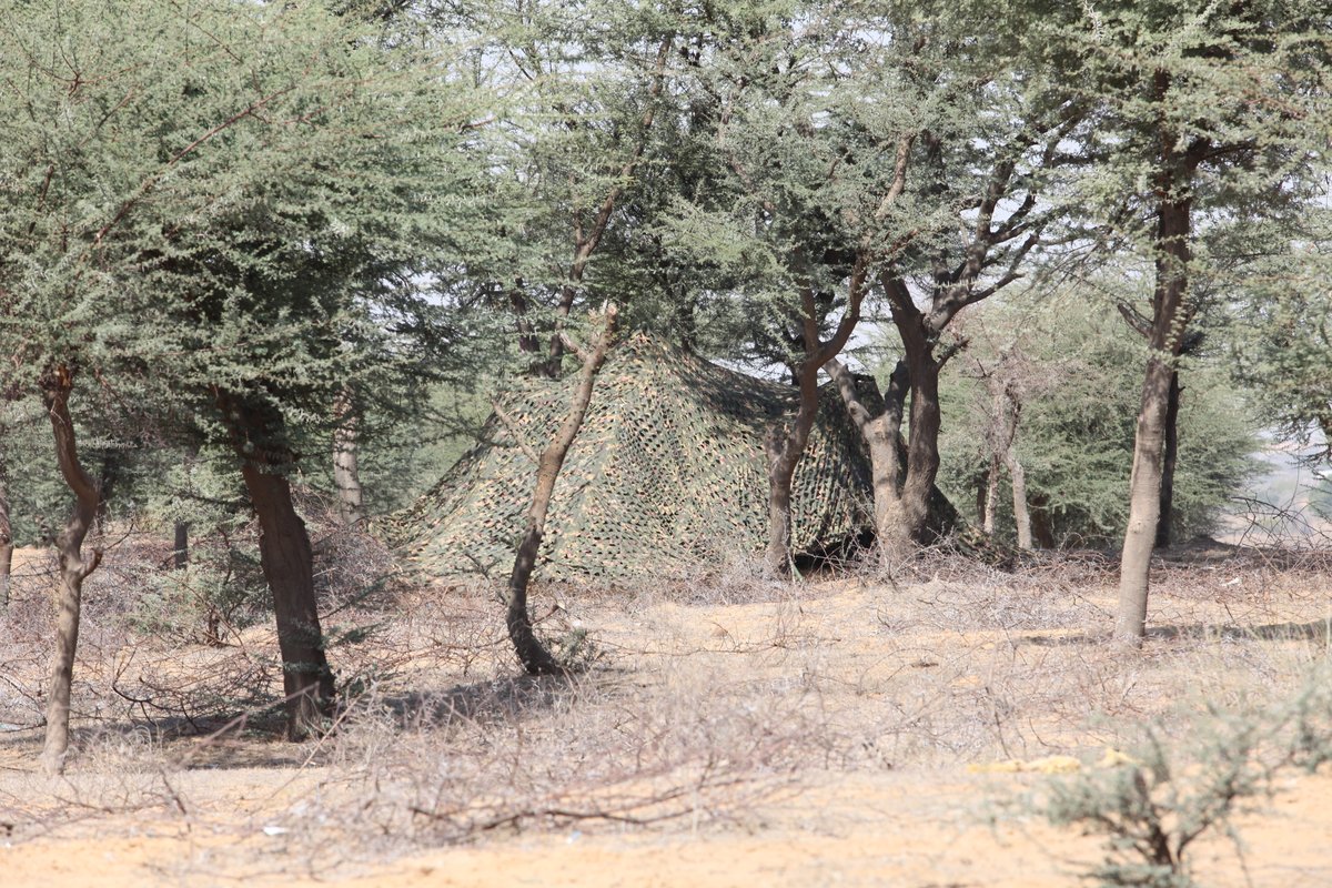CAMPRO multi-spectral military camouflage net concealing equipment in woodland terrain